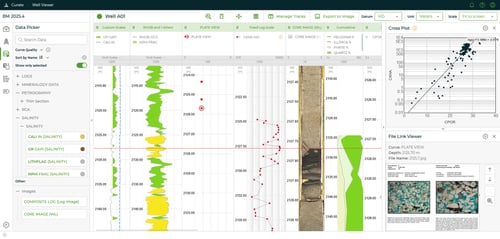 Curate 2026.2: Bringing Information Into View